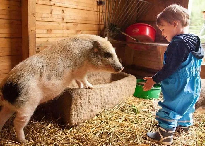 Jaktstuga Hilserhof Triberg im Schwarzwald