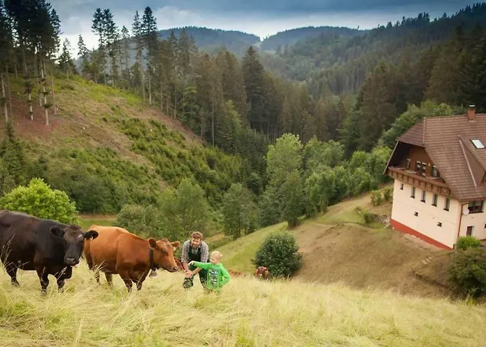 Hilserhof * Triberg im Schwarzwald