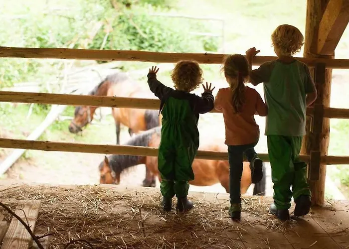 Jaktstuga Hilserhof Triberg im Schwarzwald